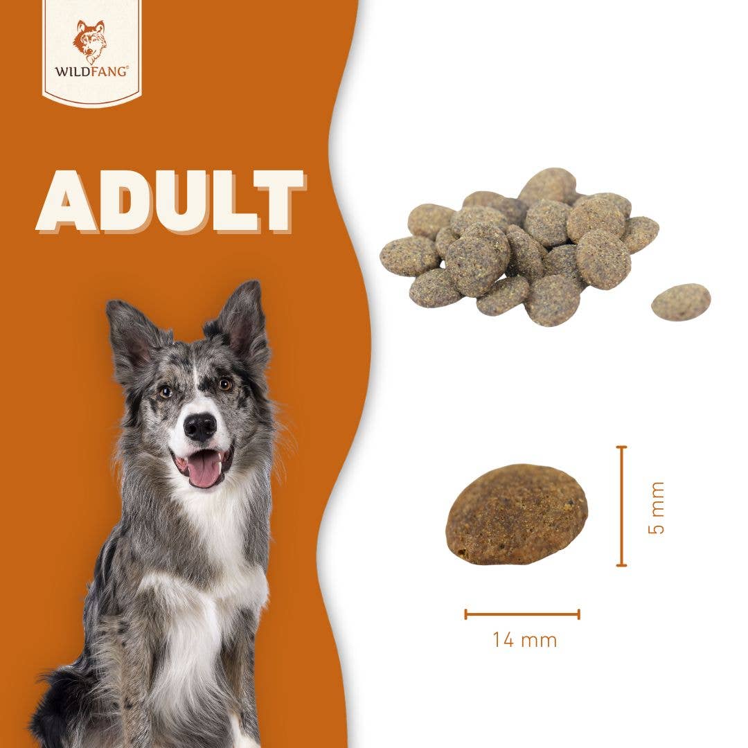 WILDFANG - Vente Nourriture – chien - Nourriture sèche adulte sans céréales à base de bœuf Angus3
