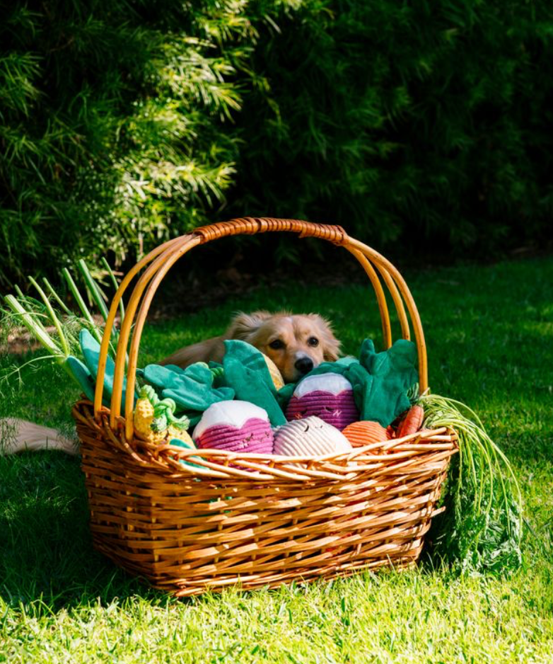 ZippyPaws - Wholesale Pet Toy - Dog - Crinkle Crops - Onion4