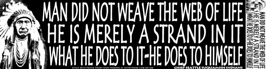 Gypsy Rose - Wholesale Sticker - Man Did Not Weave the Web of Life... Bumper Sticker0