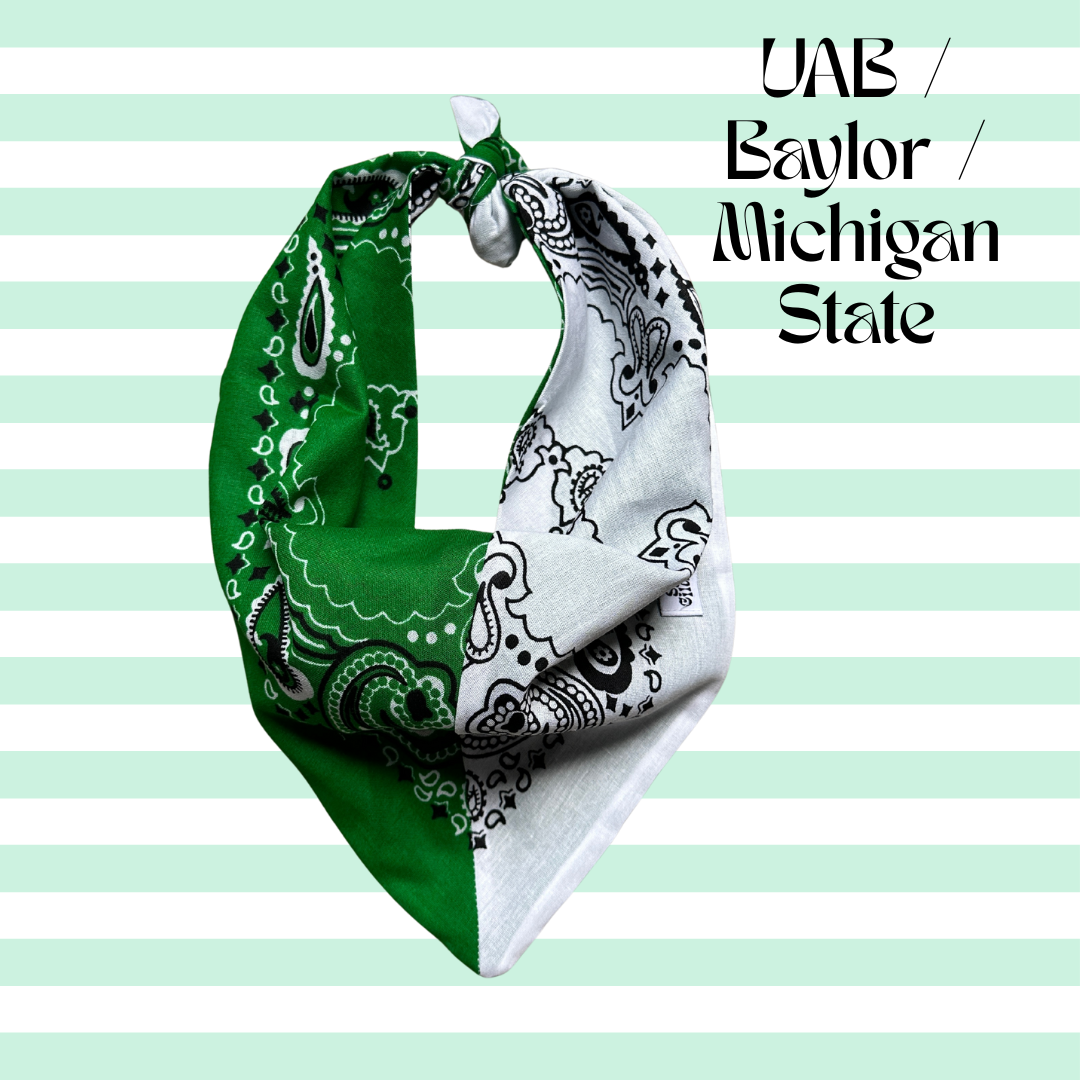 Sugar Cilantro - Wholesale Bandana - Women's - Handmade Custom Colorblocked Gameday Bandana14