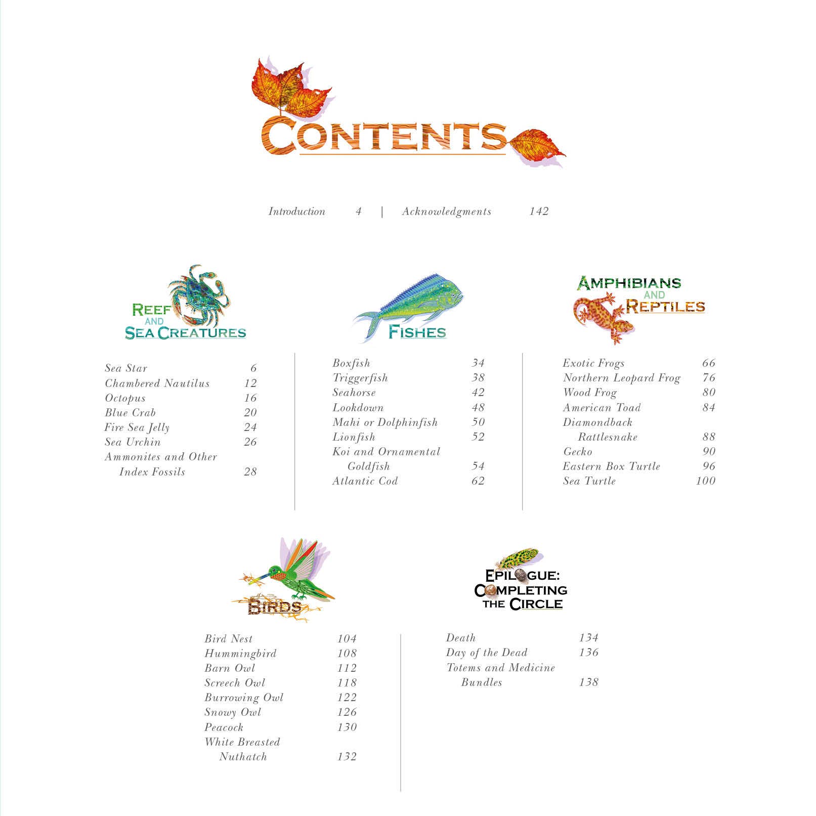 REDFeather - Venta al por mayor Nature & Outdoors - Naturaleza Mandalas Maravillas de la Tierra, Viento y Mar1