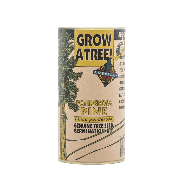 The Jonsteen Company - Wholesale Plant Seeds - Ponderosa Pine | Seed Grow Kit