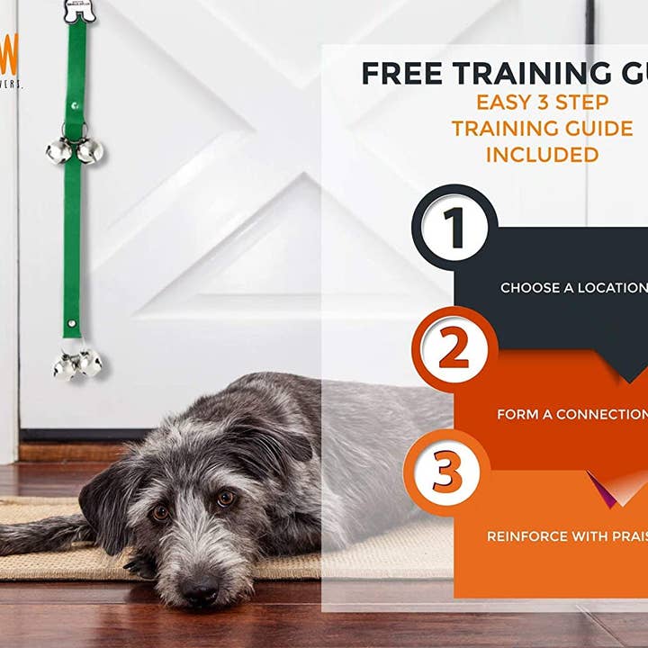 Mighty Paw - Wholesale Pet collar – Dog - Tinkle Bells5