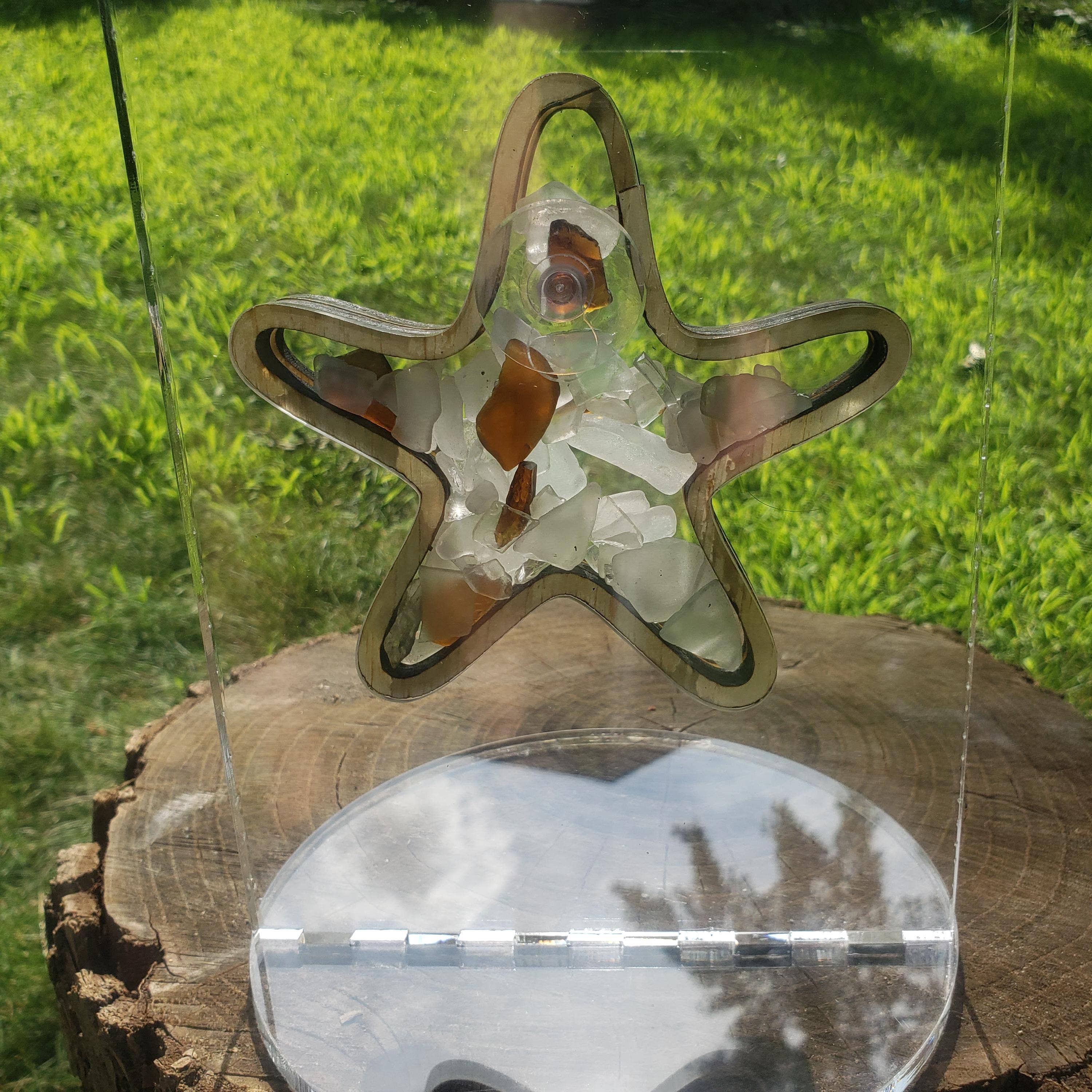 Sea Glass Displays - Vendita all'ingrosso Espositori - Espositore Shadowbox in vetro Starfish Sea 4 stili multicolore8