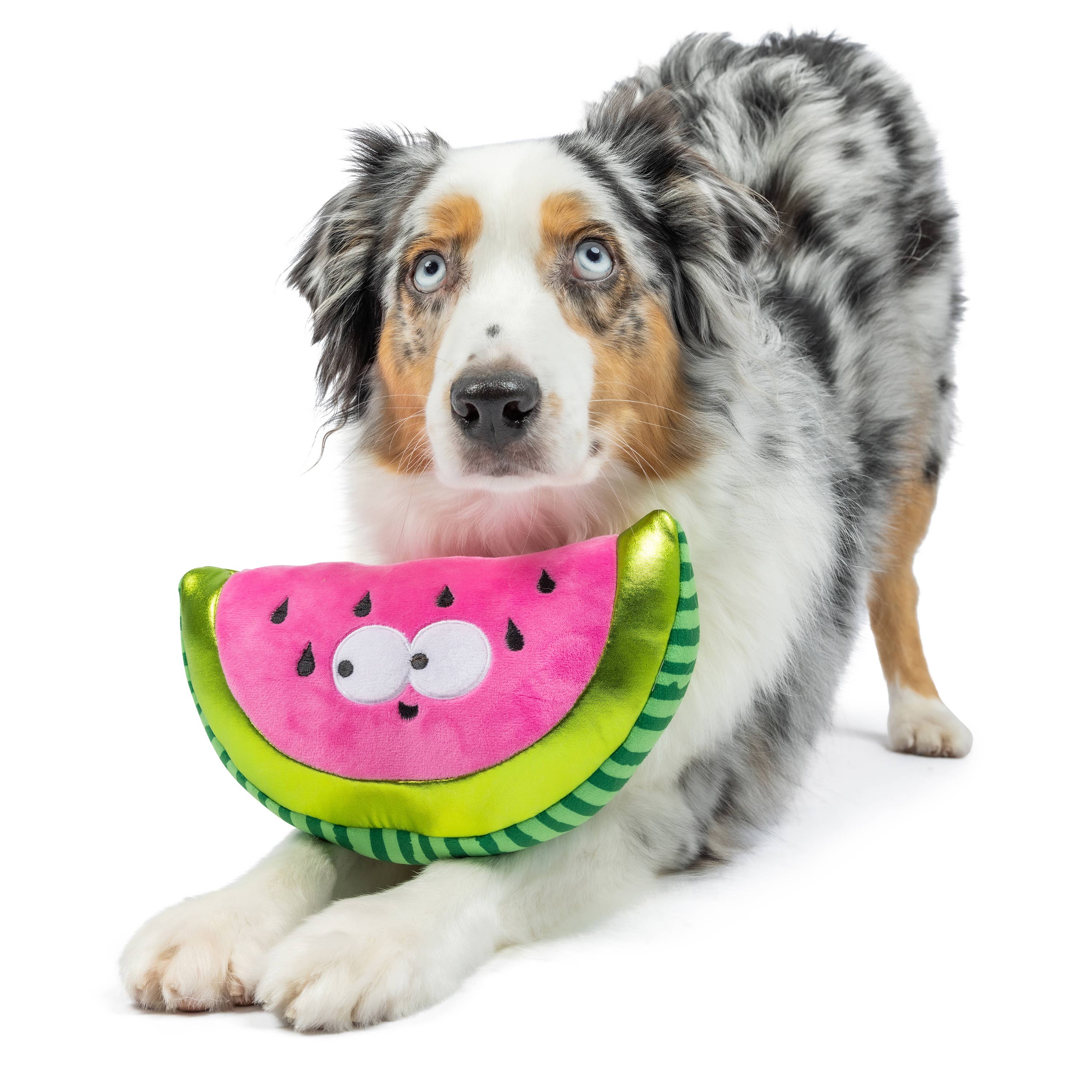 Huxley & Kent – wholesale Pet plush toy – Dog – Fetchies® Walter Melon Dog Toy2