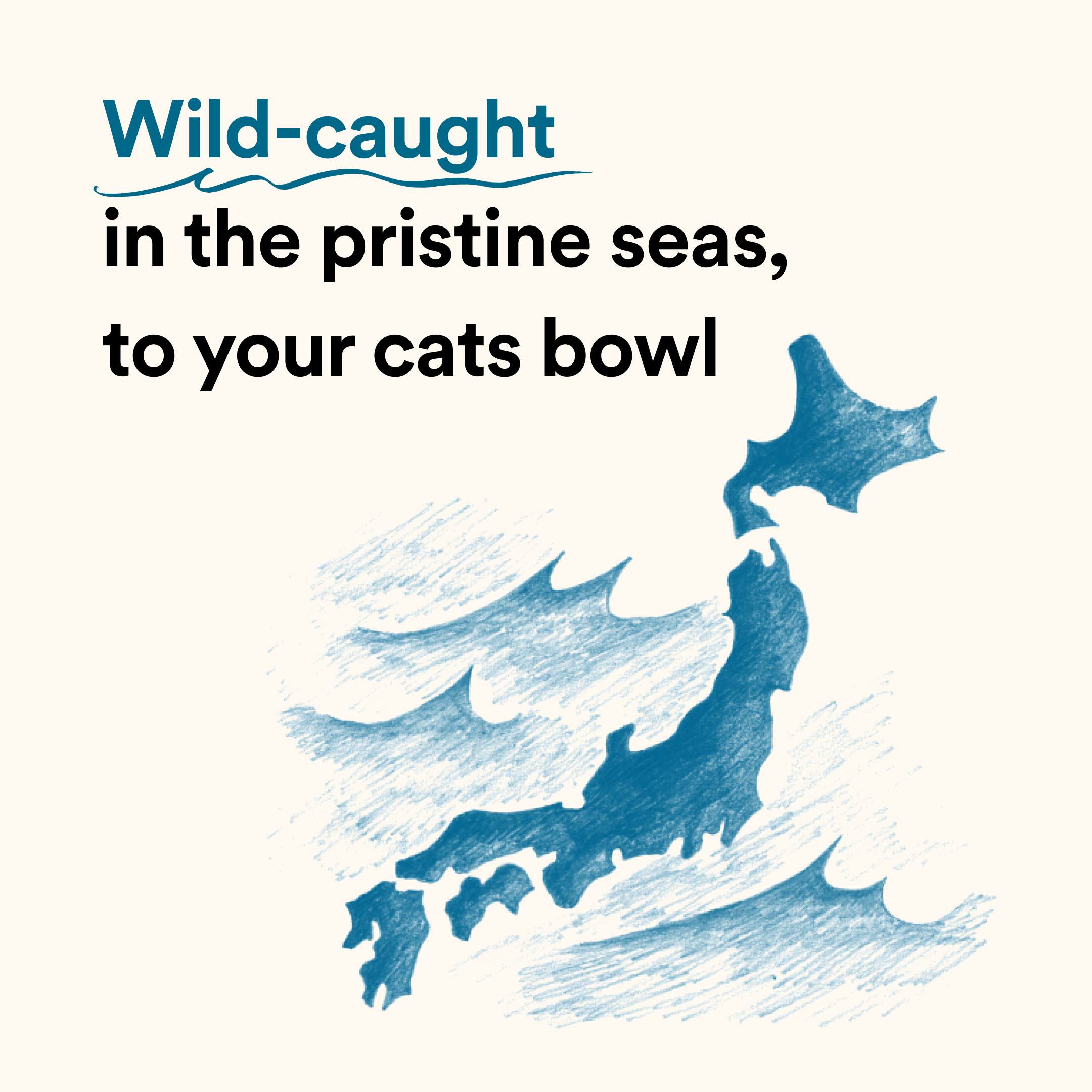 Bonito House - Wholesale Pet Treats - Cat - Umami Meal Topper: Bonito Flakes for Cats and Dogs7