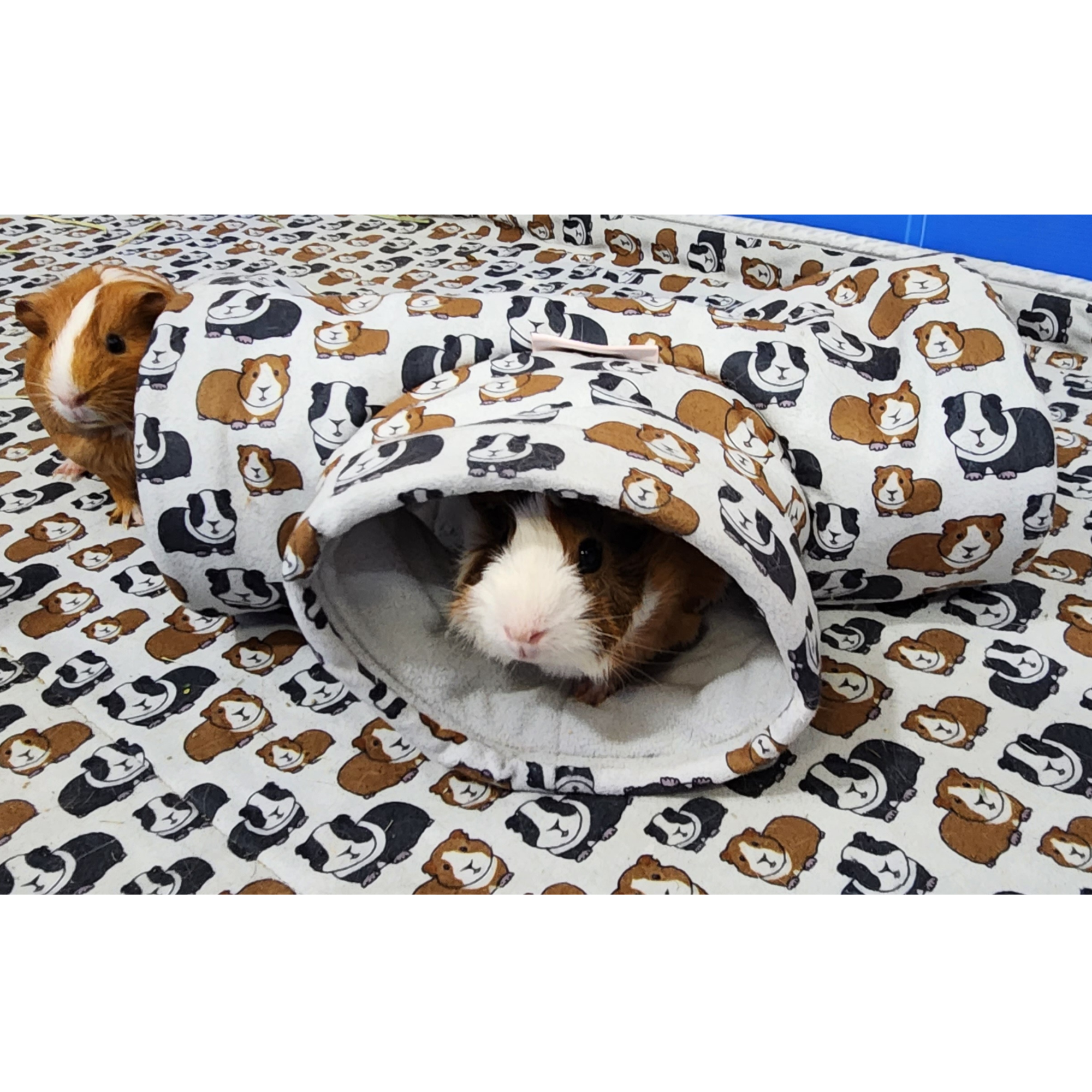 Tater Pets - Wholesale Pet Toy - Not Cat/Dog - Tunnel for Guinea Pigs7