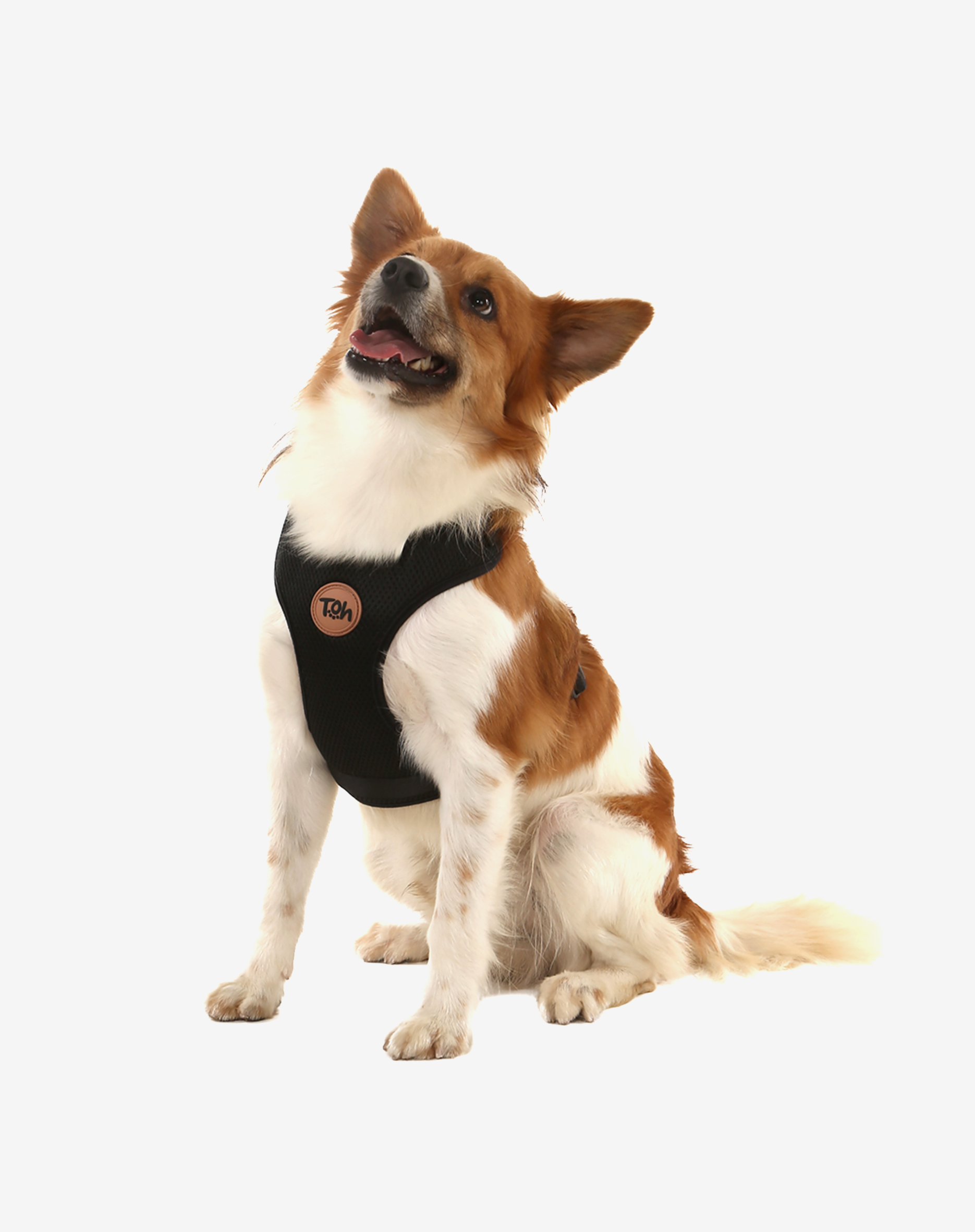 Toh - Wholesale Pet Harness - Dog - H-Mesh Dog Harness Black5