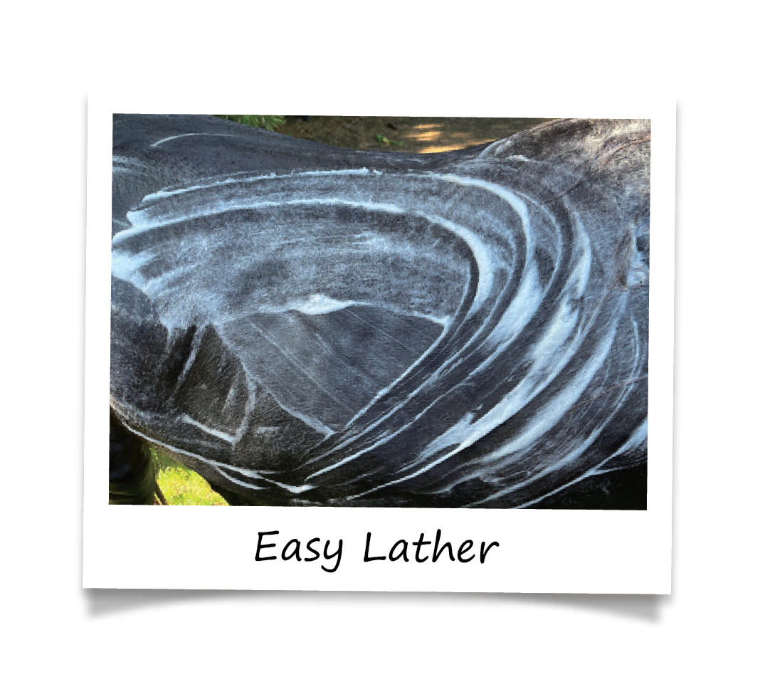 Kensington - Vente Disques de shampoing/shampoings solides - Barre de shampoing entièrement naturelle Bex Bar - paquet de 310