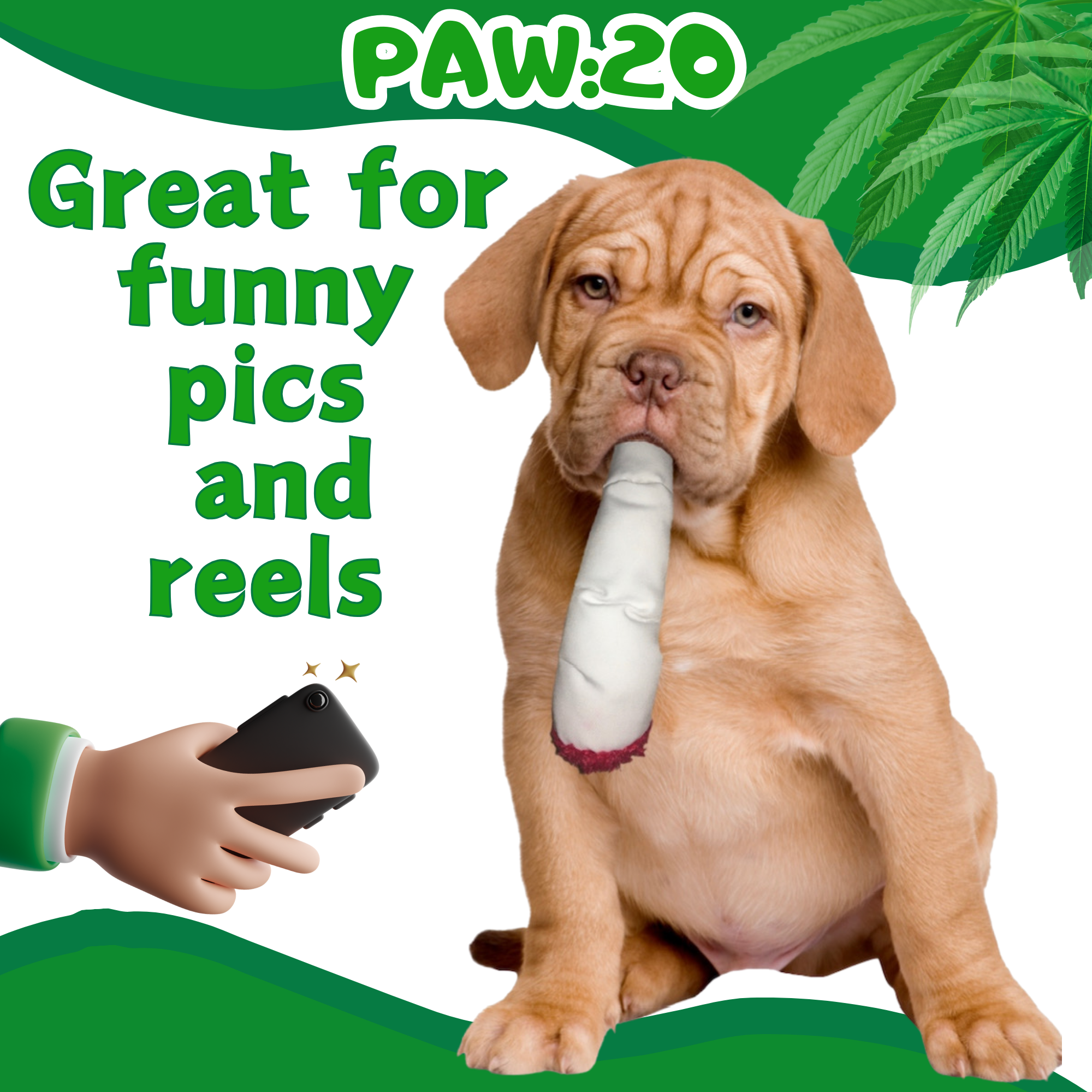 PAW:20 - Wholesale Pet Squeaky Toy - Dog - Jay the Joint, Parody Plush Squeaker Dog Toy3
