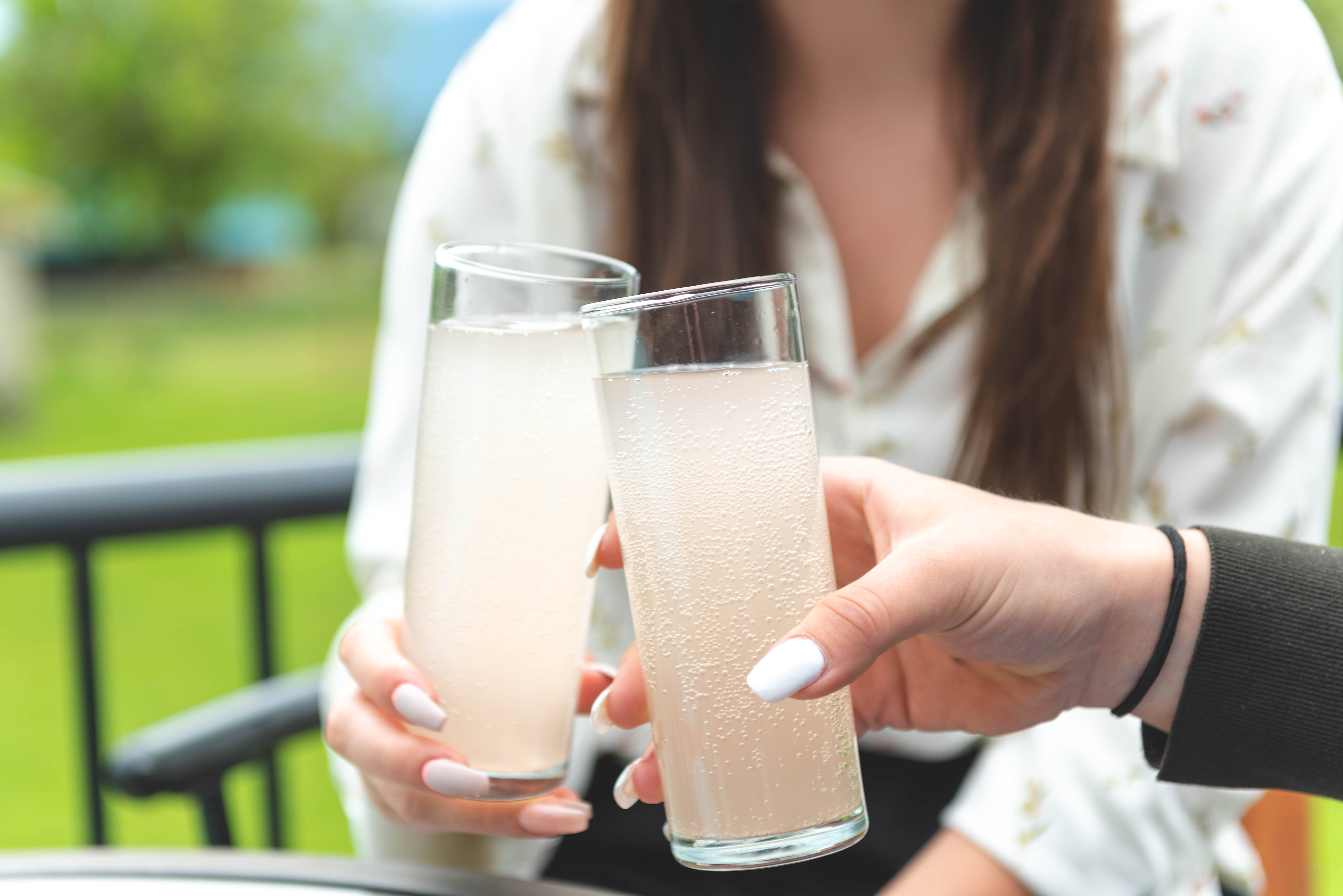 Happy Gut - Wholesale DIY Food Kit - Water Kefir Home Fermentation Kit W/ dehydrated Grains3