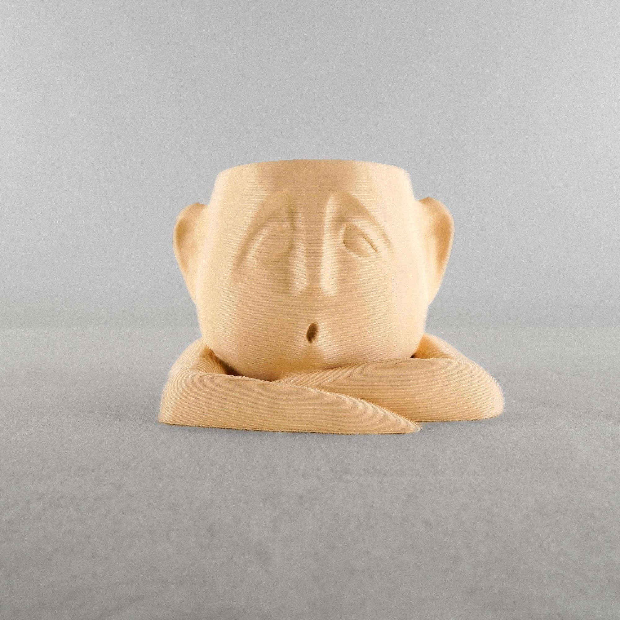 Rosebud Homegoods - Wholesale Plant Pot - Shady Air Head Planter12