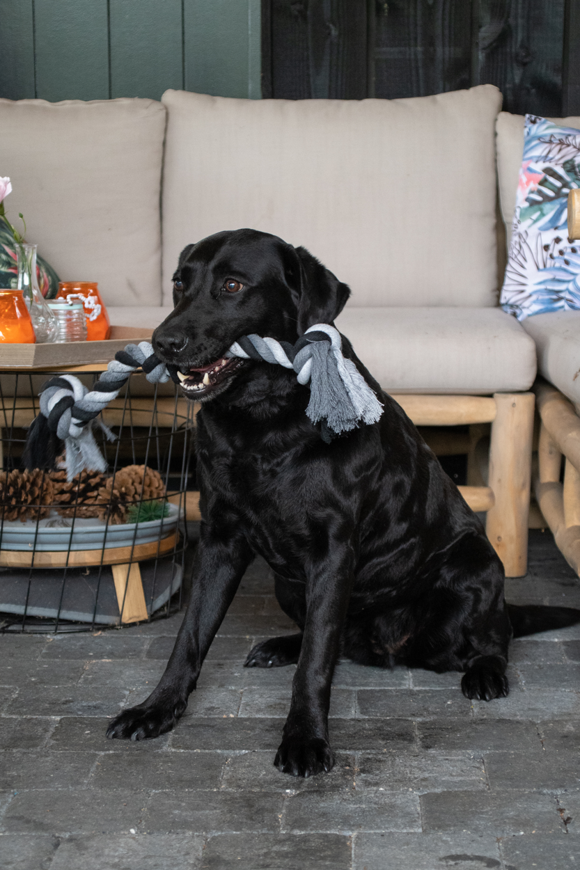 Hofman Animal Care – Großhandel Haustier-Seilspielzeug – Hund – Floss Toss Zahnpflege-Seil mit 4 Knoten, 85 cm2