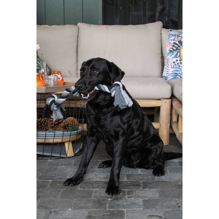 Hofman Animal Care – wholesale Repleksak - Hund – Floss Toss Dental Rep 4 Knutar 85 cm2