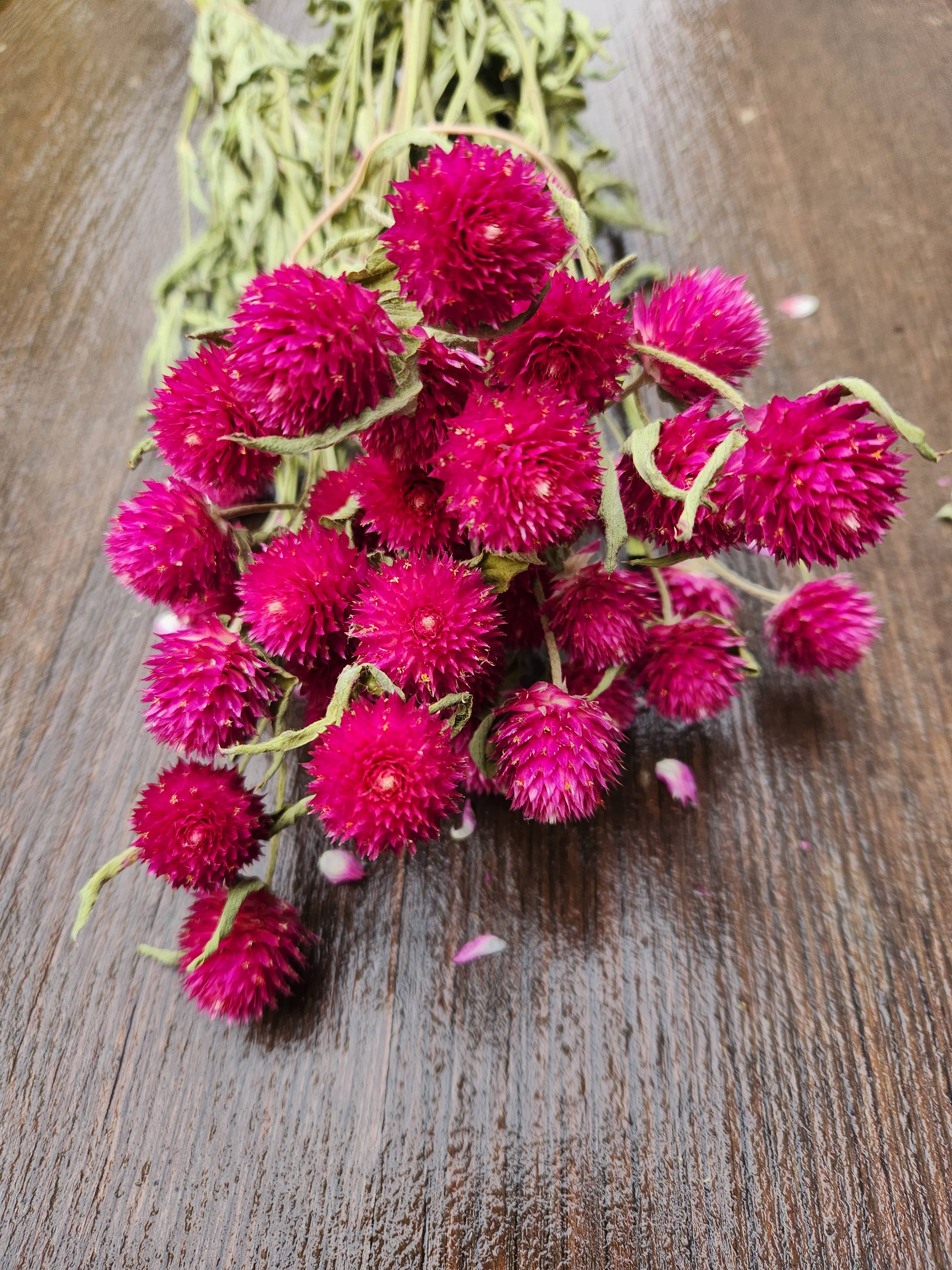 Alissas Flower Farm - Wholesale Dried/Pressed Flowers - Dried Gomphrena9