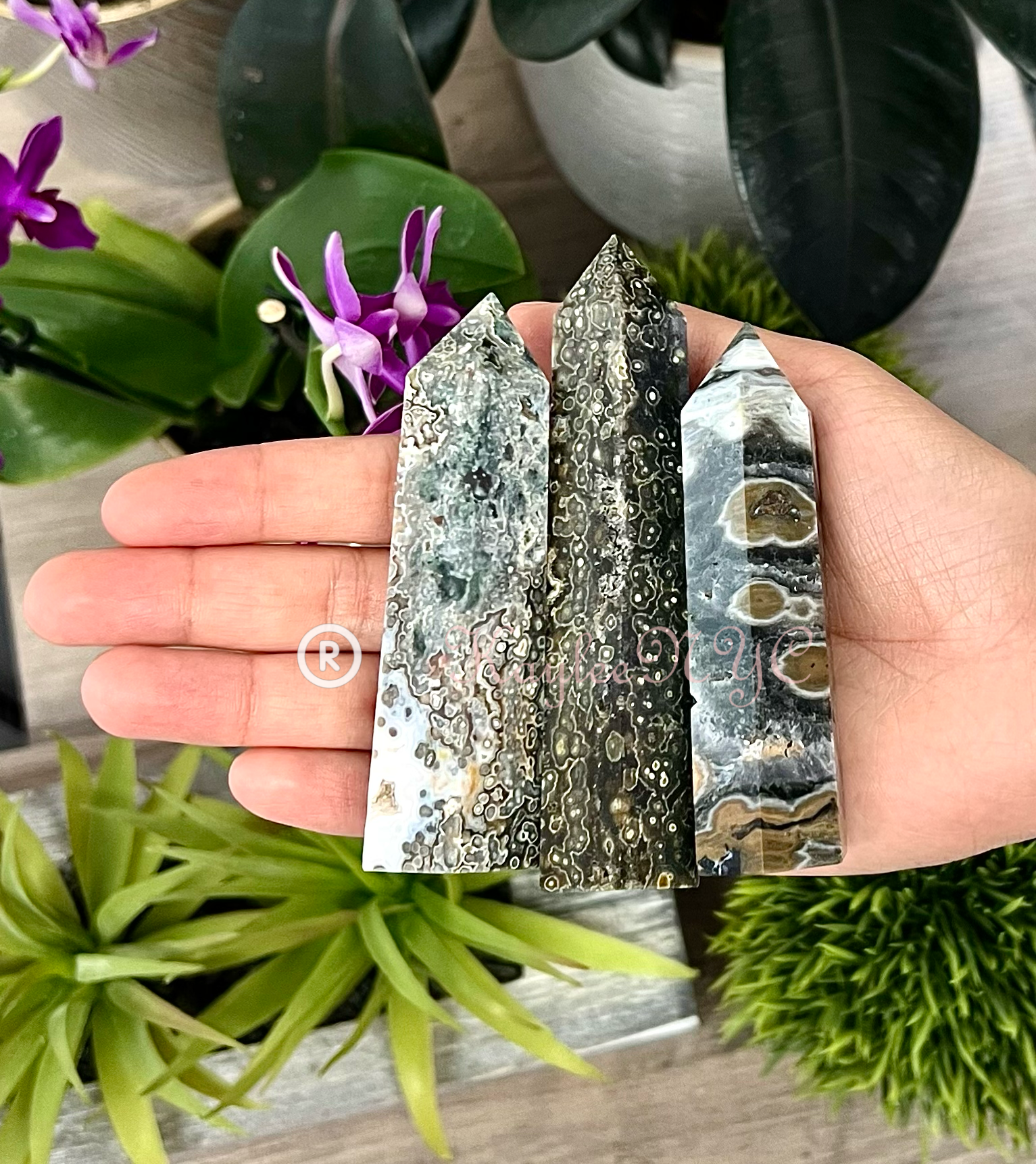 KayleeNYC - Wholesale Spiritual Stone/Crystal - 2 Lb Natural Ocean Jasper Obelisk Tower Point Crystal5