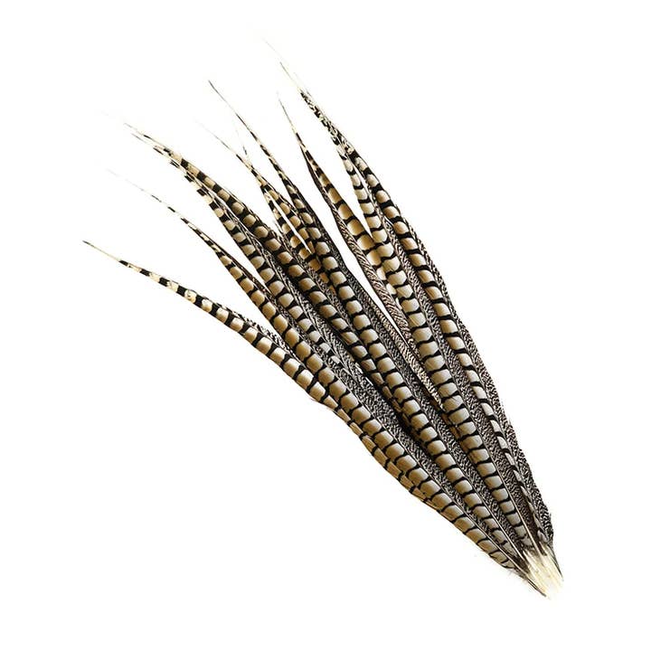 Lady Amherst Pheasant Tails - Natural - 30 - 35" for wholesale by Zucker Feather Products