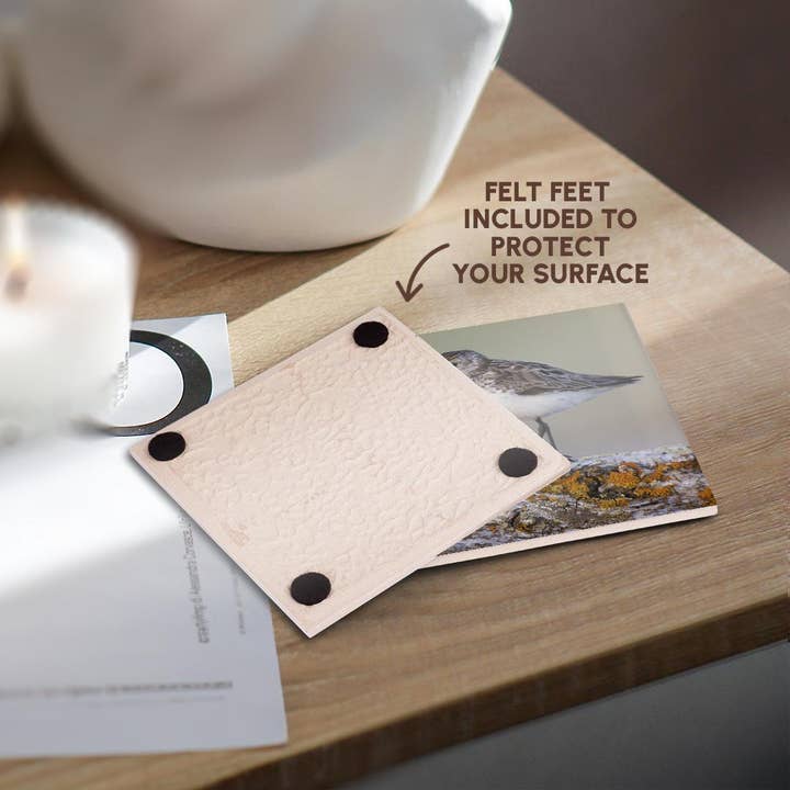 3dRose - Wholesale Coasters - 3dRose, Semipalmated sandpiper, Coaster3