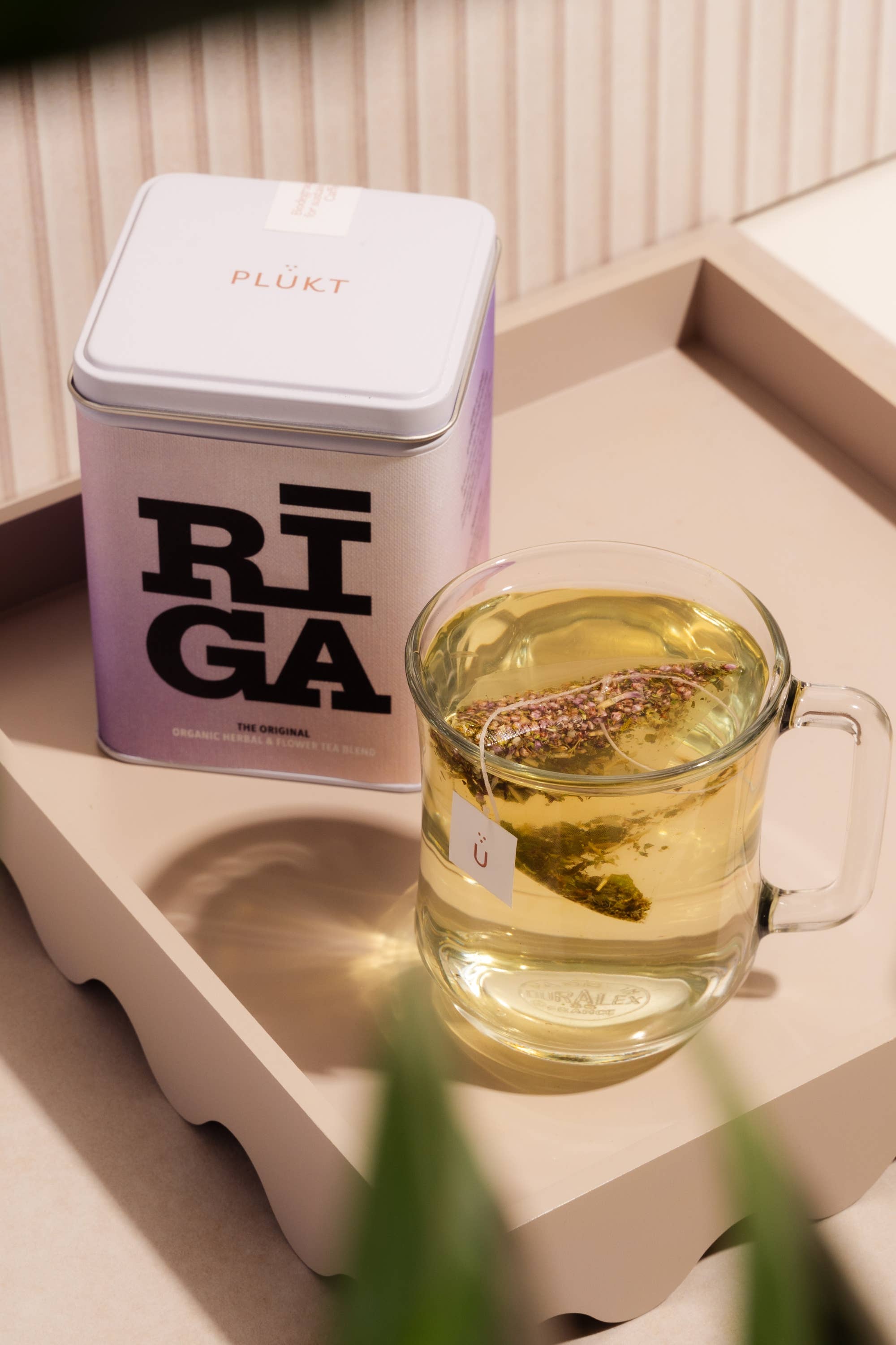 Plūkt - Wholesale Tea Bags - RIGA Original x PLŪKT herbal and flower tea blend