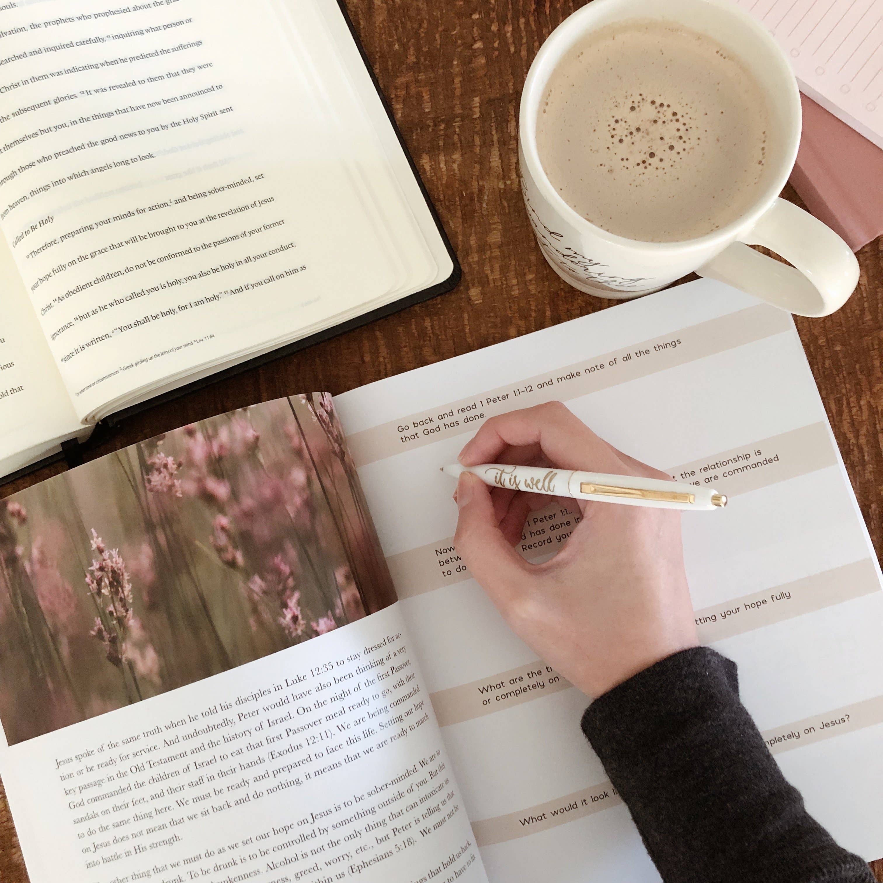 The Daily Grace Co - Wholesale Religion - Grace in the Wilderness | Study on 1 Peter15