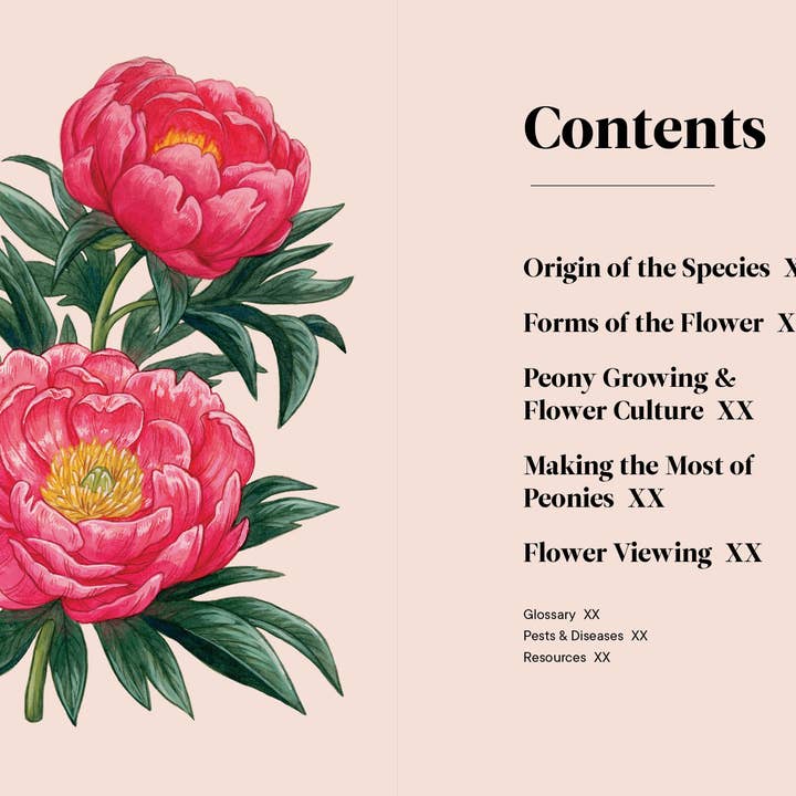 Paige Tate & Co. - Wholesale Book - Adult - A Little Book of Flowers: Peonies