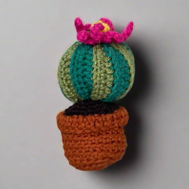 Crochet Cactus - Striped for wholesale by Pink Peacock Gifts