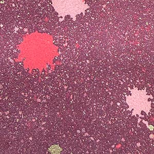 Tracey Tanner – Engroshandel Posetaske - Dame – Medium Zip Pouch73