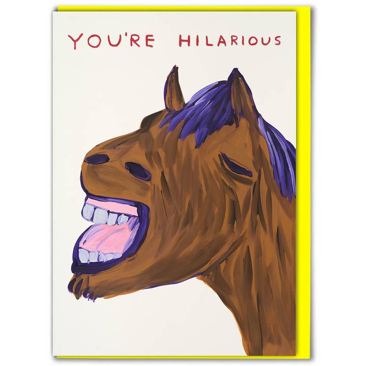 David Shrigley x Brainbox Candy - Wholesale Everyday Greeting Card - Funny Greetings Card By David Shrigley - You're Hilarious