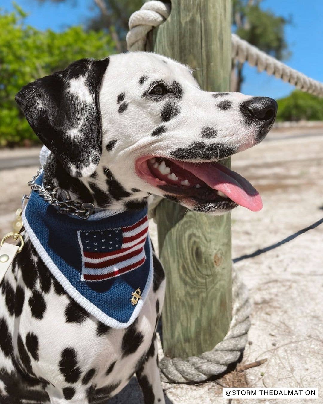 The Deluxe Pup – wholesale Pet bandana – Dog – BANDANA | BENJAMIN ROSS5