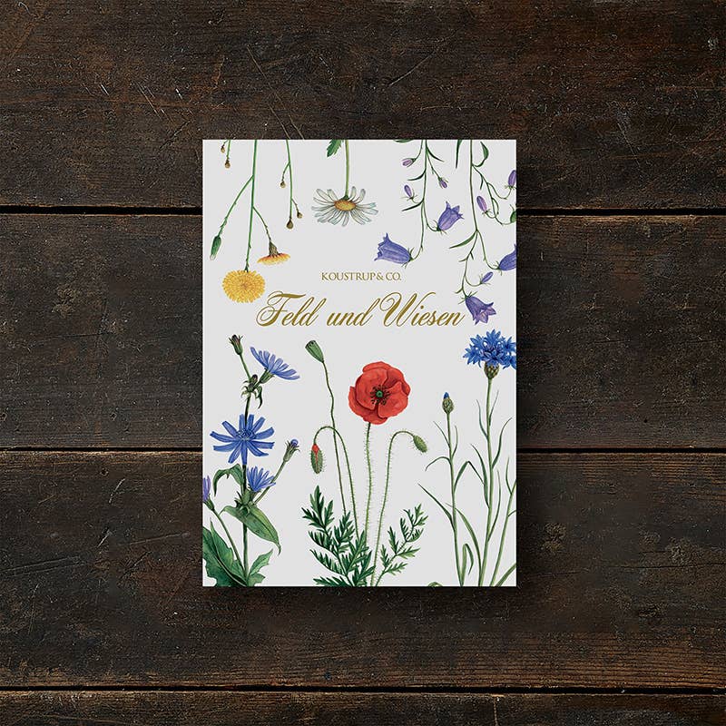 Koustrupco - Wholesale Stationery/Notecard Set - Cardfolder Feld & wiese - 8 cards w/envelopes (german)0
