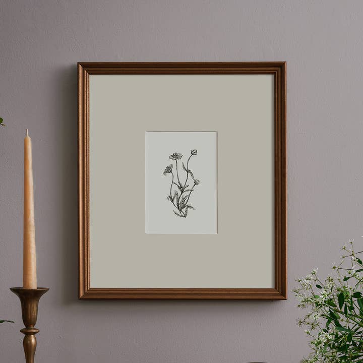 Kara Valentino Ffield Art - Wholesale Art Print - Daisy | Art Print 3