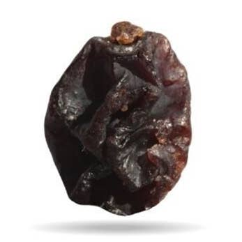 VIJAYA - SAS J.L. BOYERE - Venta al por mayor Fruta deshidratada - GROSELLAS - GRECIA - 12,5 kg - Ecológico*0