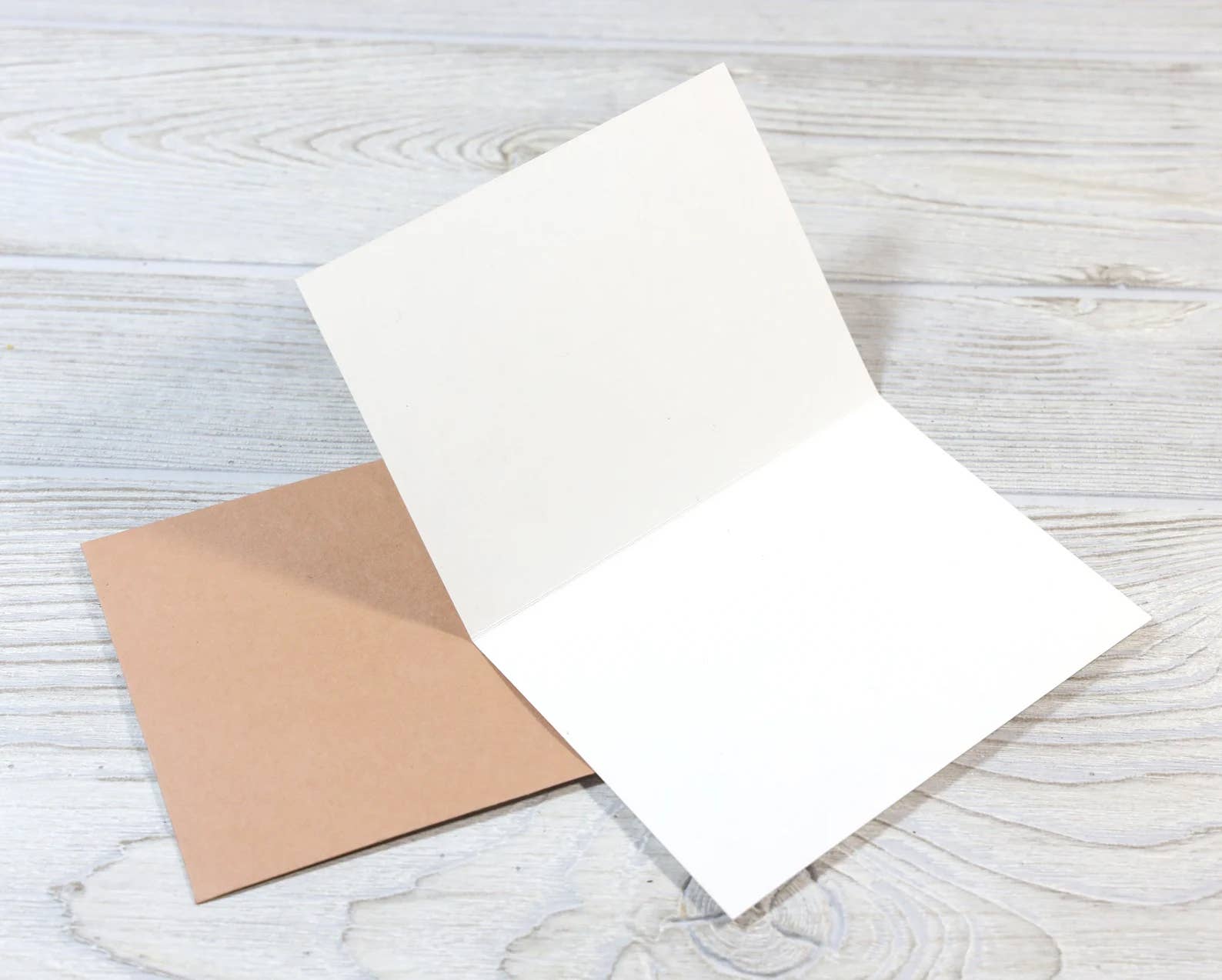 Bad Betty Greeting Co. - Wholesale Mother's Day Card - I'm Your Favorite Child Funny Mother's/Father's Day Card2