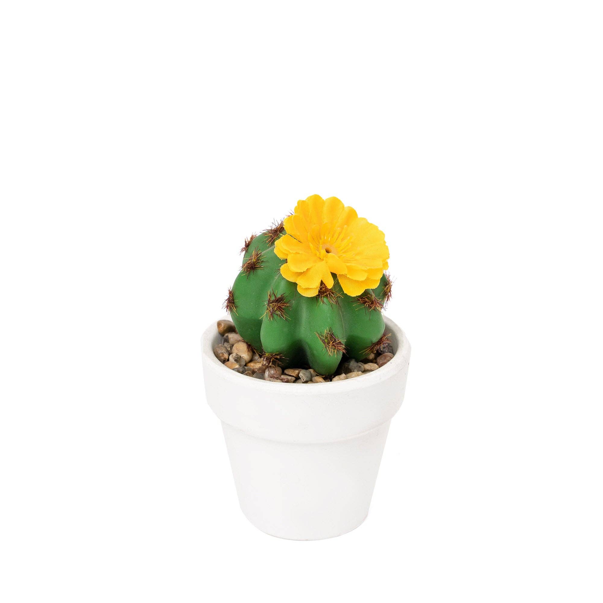 Portofino International Trading, USA - Wholesale Artificial Plant - Artificial Assorted Potted Cactus - Set of 127
