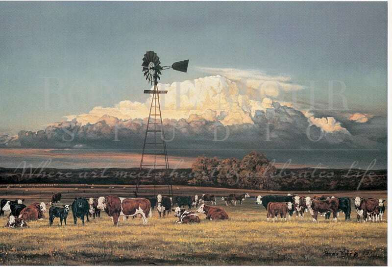 Bonnie Mohr Studio – Impressão artística por atacado – Pastagens de verão1