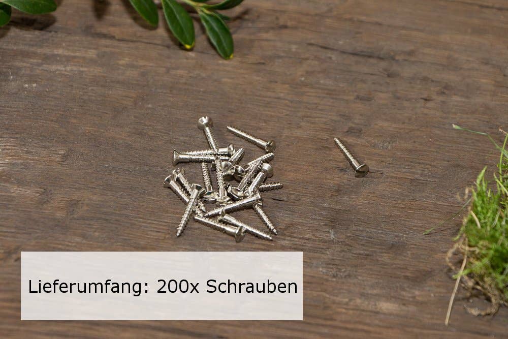 Antikas - Wholesale Decorative Figurine - 200 x slotted screws, countersunk head, wood (DIN 95), brass