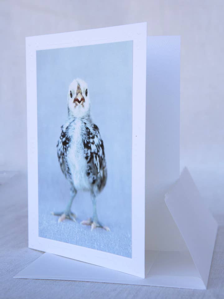 Napoleon - Rescue - Handmade Greeting Card for wholesale by Sonoma Chicks