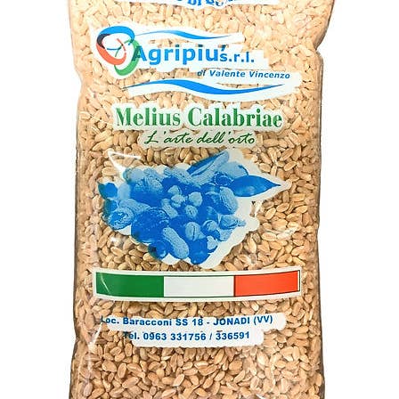 agripiusrl - Wholesale Whole Grains - Hulled Spelt 5kg