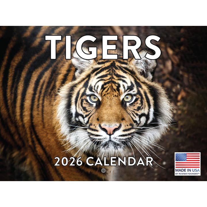 Tiger Calendar 2026 Wall Monthly for wholesale by 2026 Calendars
