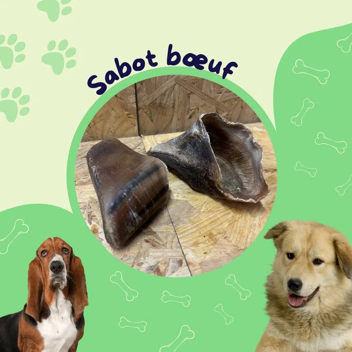 Beef hoof / Dog treat for wholesale by JF animalerie