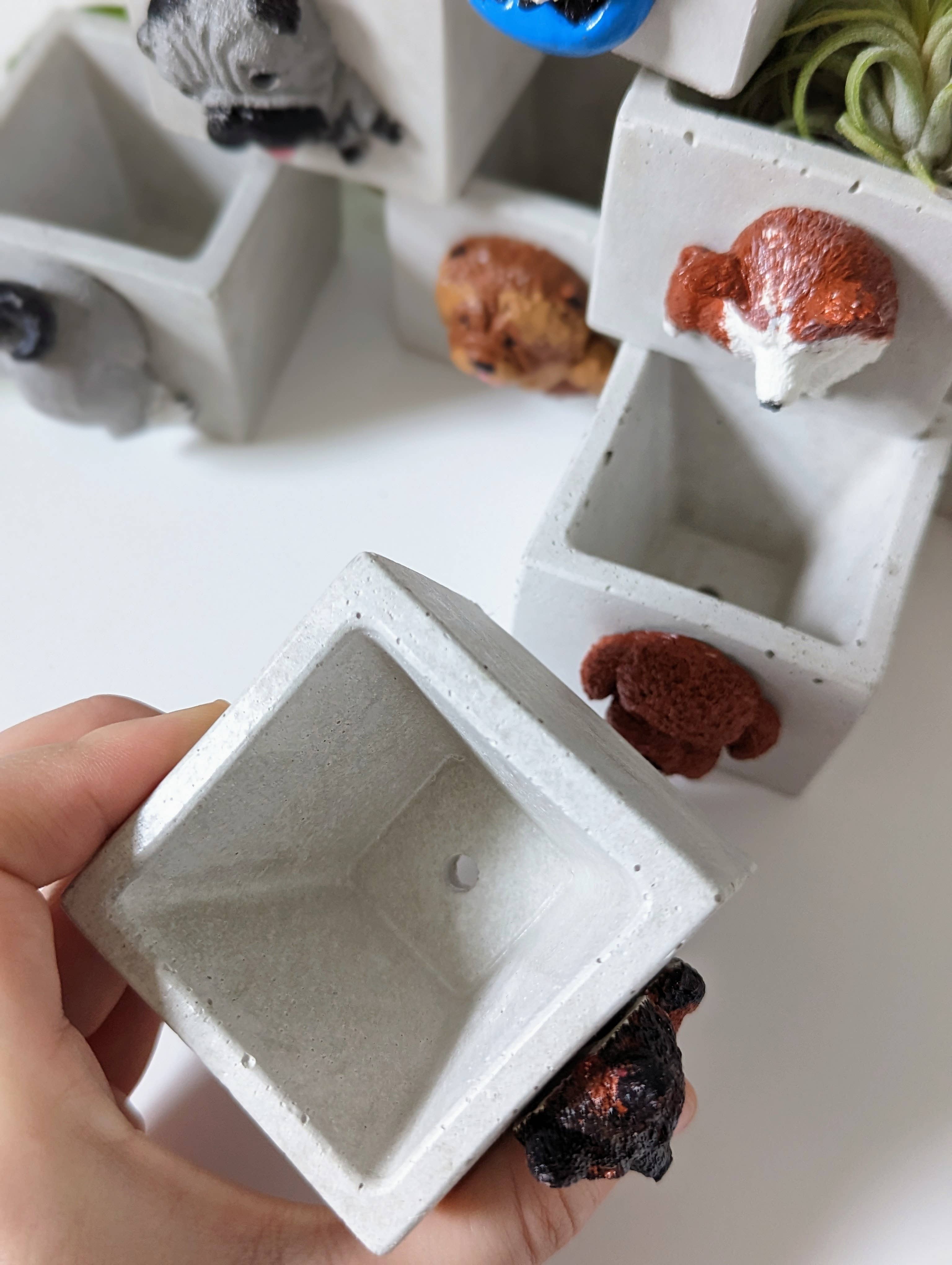 ForgottenProperty - Wholesale Plant pot - Doggo Mini Concrete Planter and Air Plant Holder8