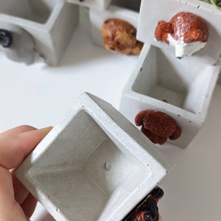 ForgottenProperty - Wholesale Plant pot - Doggo Mini Concrete Planter and Air Plant Holder8