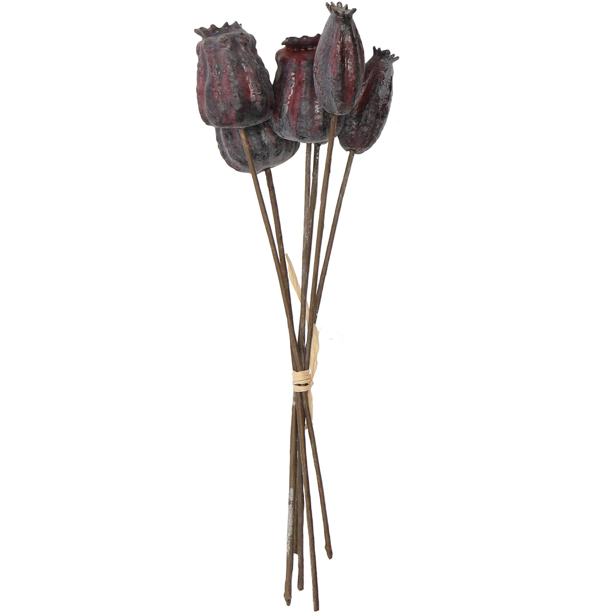 Vosteen - Wholesale Outdoor Ornament/Decor - Bunch Momo poppy capsule, 6 branches, L27cm, plum0