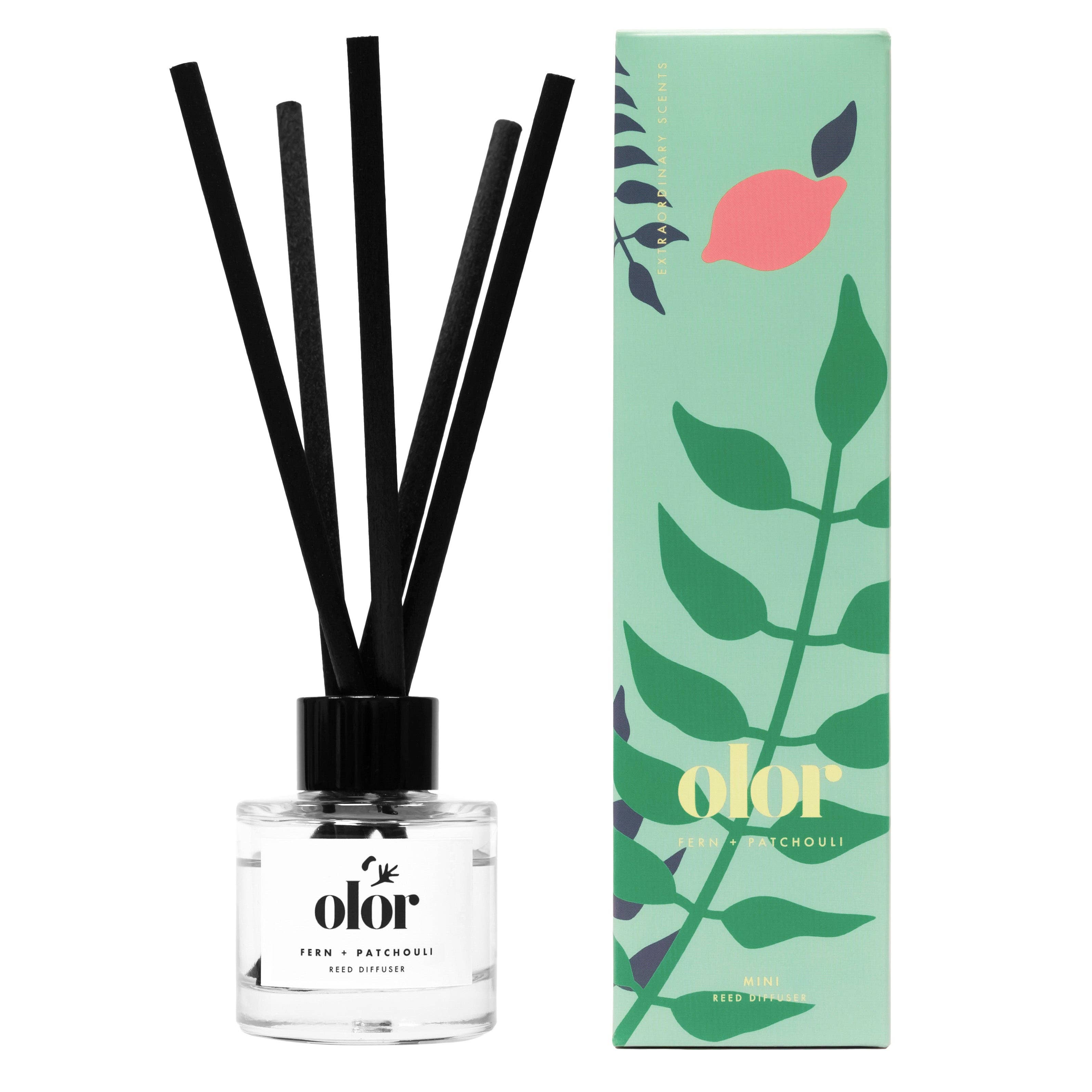 OLOR - Wholesale Reed Diffuser - Fern + Patchouli Mini Reed Diffuser2