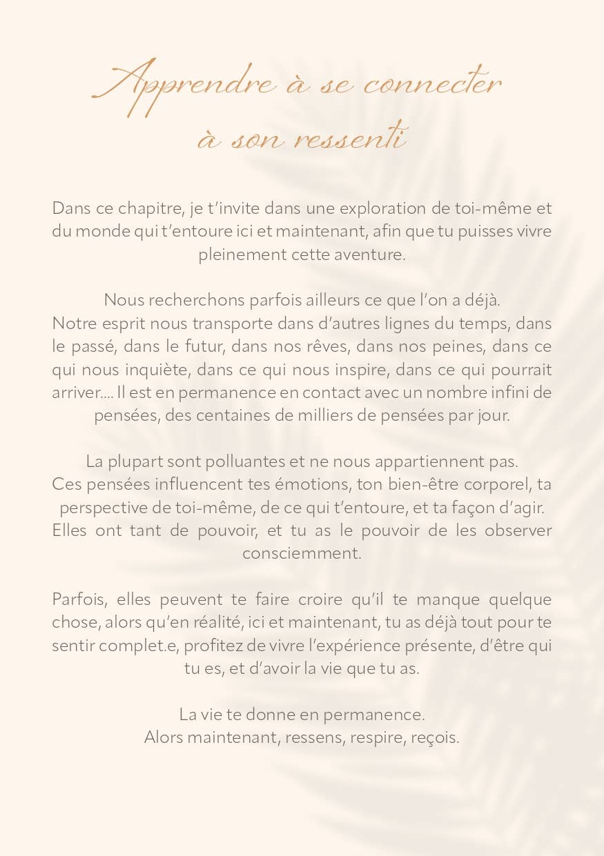 AVENTURA ÉDITIONS - Wholesale Notebook - Wellness Journal11