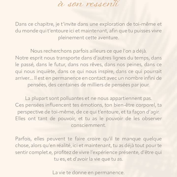 AVENTURA ÉDITIONS - Wholesale Notebook - Wellness Journal11