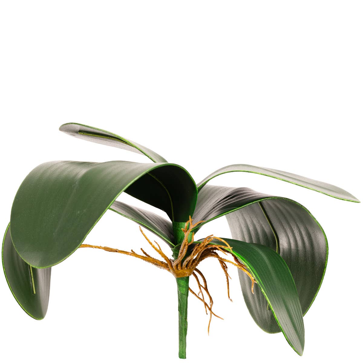 Eleganza Floral – Großhandel Künstliche Blumen – Orchideenblattstrauch1