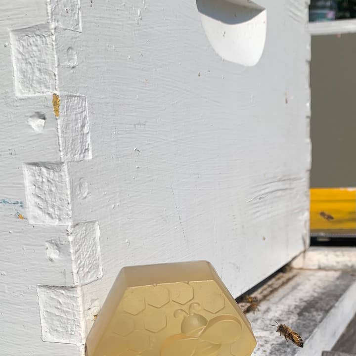 Thy Will Bee Done Apiary - Wholesale Bar Soap - Honey Apricot Bee Soap, Manuka Honeycomb Bee Soap, Bee Theme