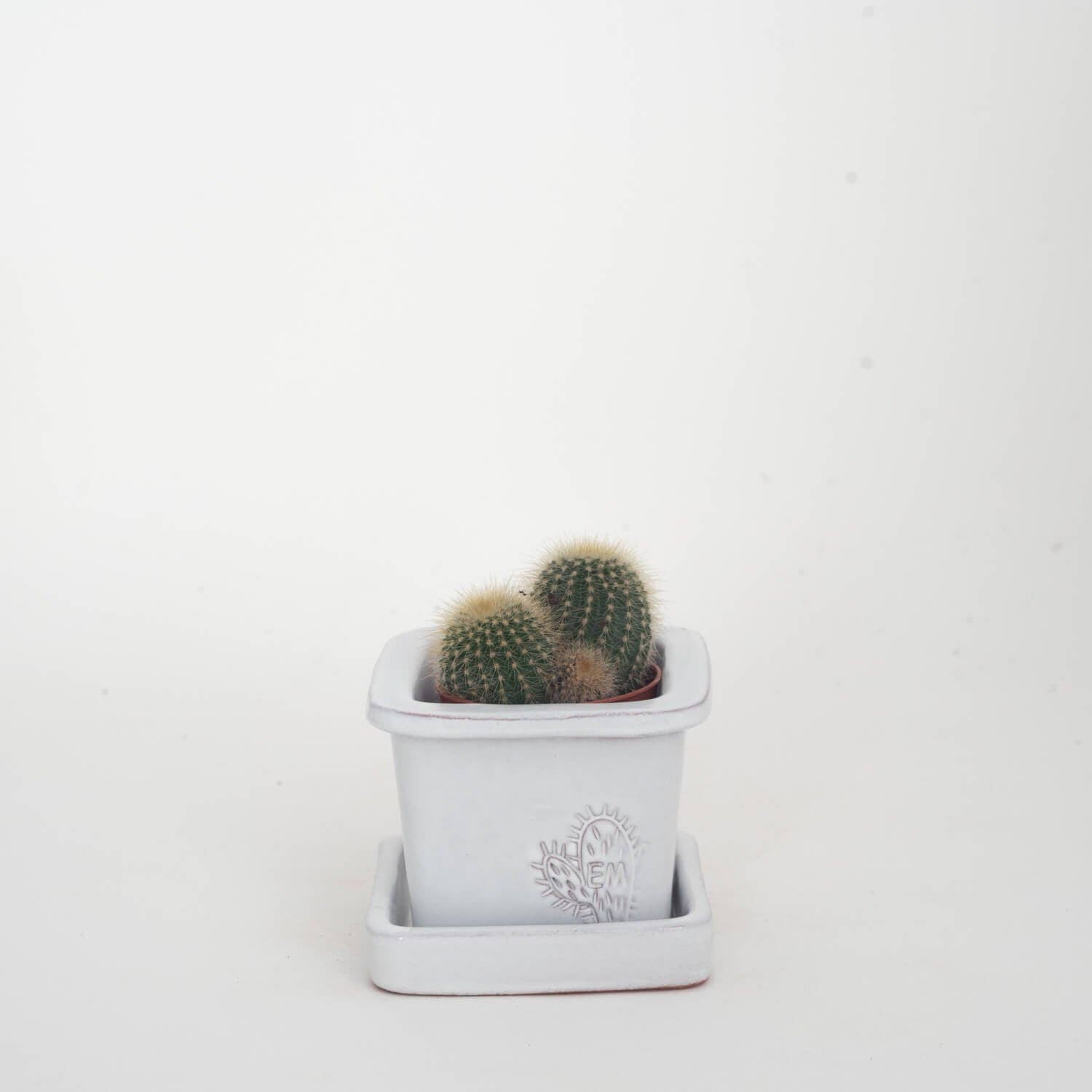 Vasos Quadrados by EM – Vaso de plantas por atacado – VASO QUADRADO MINI 6x6 - BRILHO13