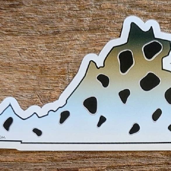 Virginia Sea Trout Skin Sticker for wholesale by creeknuts.com